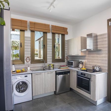 Chris Le Mare Luxury Villa プロタラス エクステリア 写真
